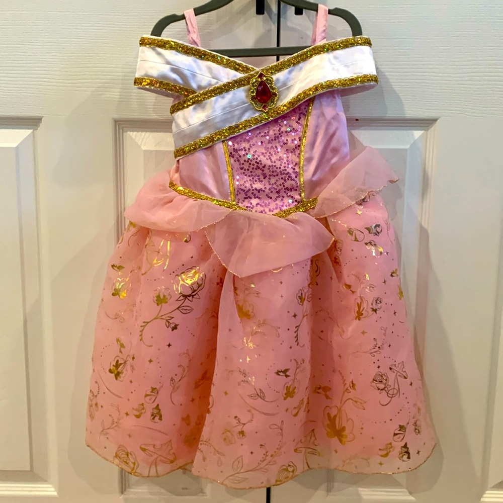 Disney Sleeping Beauty dress